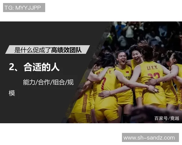 武汉羽毛球队配合表现数据分析揭示团队协作与比赛胜率的关系